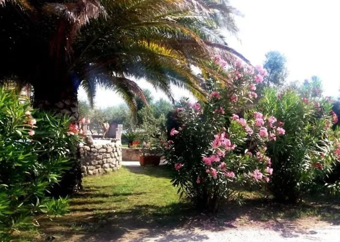 公寓 Dolores Castle 坎普码港